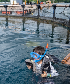 シュノーケリング